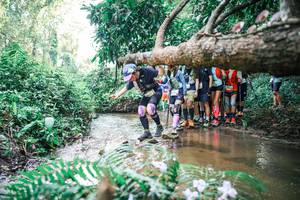 BIB: 
                            <button type="button" onclick="openModal(25471527)" class="btn btn-primary btn-sm float-right btn-popup" data-toggle="modal" data-target=".modal-high-quality">
                        <i class="fas fa-shopping-cart"></i> Add to Cart
                    </button>
                                            <button type="button" onclick="isThisMe(25471527, true)" class="btn btn-success btn-sm float-right btn-popup btn-isme hidden" data-toggle="tooltip" data-placement="bottom" title="นี่คือรูปของคุณใช่ไหม คลิกที่นี่เพื่อเอาเข้าอัลบั้ม">
                        <i class="fas fa-plus"></i> Add to album
                    </button>
                    <button type="button" onclick="isThisMe(25471527, false)" class="btn btn-warning btn-sm float-right btn-popup btn-isnotme hidden">
                        <i class="fas fa-ban"></i> Remove from album
                    </button>